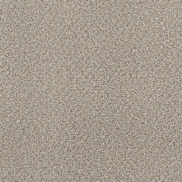 Dreamweaver Carpet Star Struck Ash DREAMWEAVER