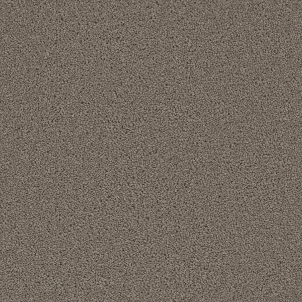 Dreamweaver Carpet Broadcast Plus Castle DREAMWEAVER