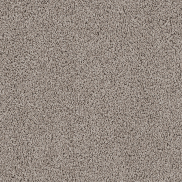 Dreamweaver Carpet Cedar Creek Castle DREAMWEAVER