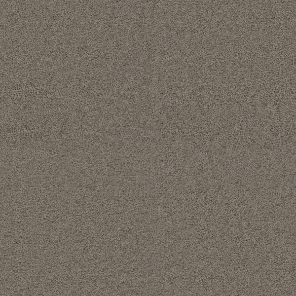 Dreamweaver Carpet Exceptional II Castle DREAMWEAVER