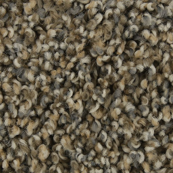 Mohawk Carpet Color Fusion I Rolling Thunder Mohawk