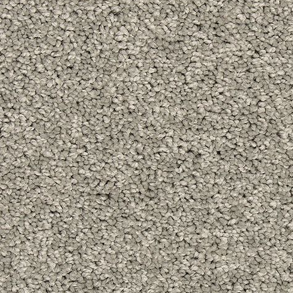 Mohawk Carpet Vitalize I Winter Ash Mohawk