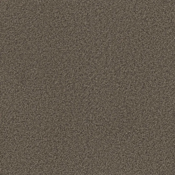 Phenix Carpets Achieve Accomplish PHENIX