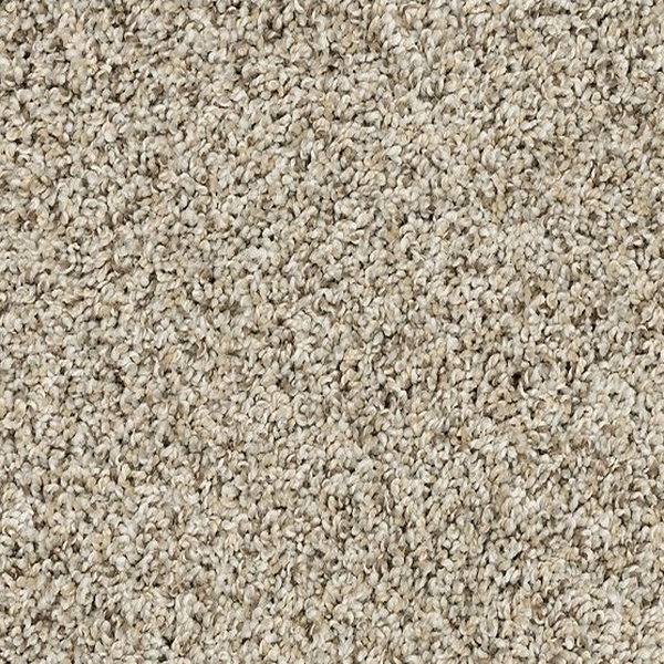 Mohawk Carpet Raise The Woof I Oyster Mohawk