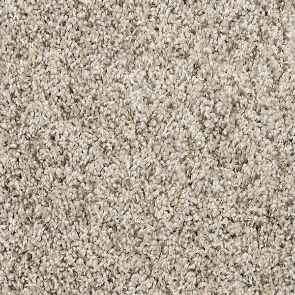 Mohawk Carpet Purrsonality II Oyster Mohawk