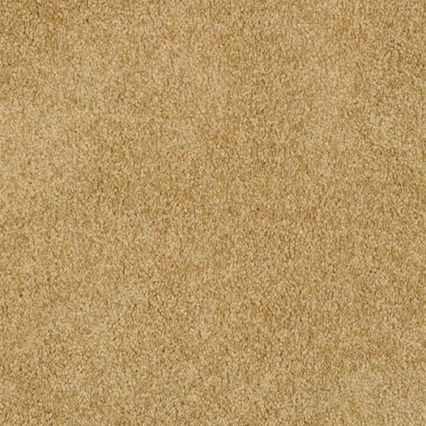 Masland Carpets Miami Seville Masland