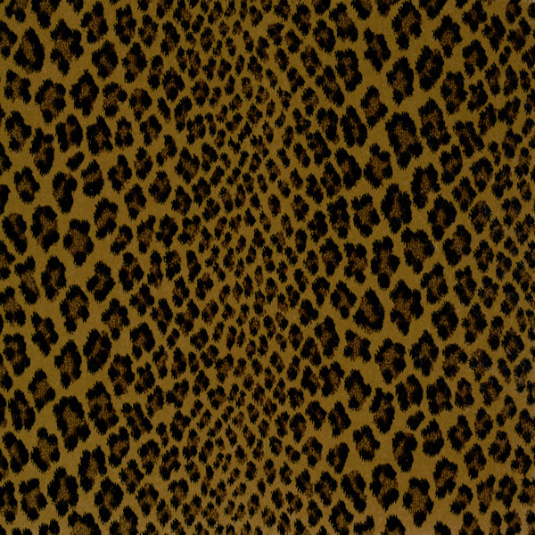 Stanton Carpet Linus Stout Stanton