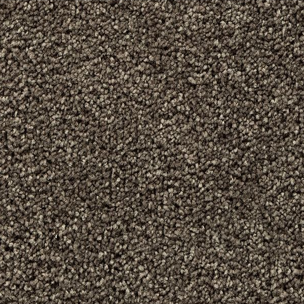 Mohawk Carpet Bold Choice Cathedral Mohawk