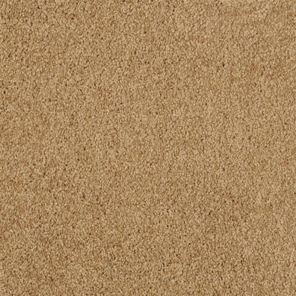 Masland Carpets Miami Deep Ochre Masland