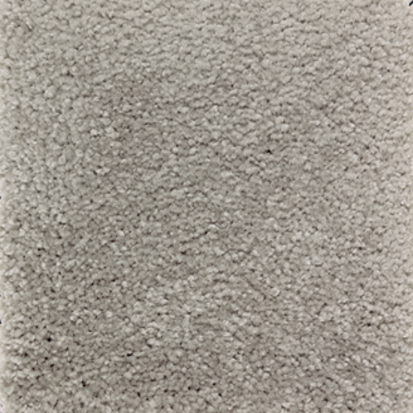 Mohawk Carpet Homefront II Foil Mohawk