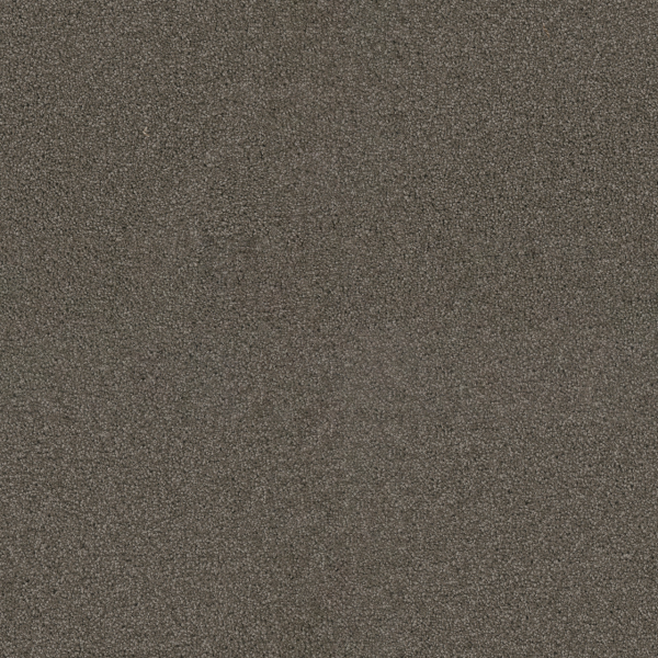 Dreamweaver Carpet Exceptional II Riverbed DREAMWEAVER