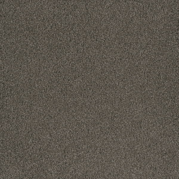 Dreamweaver Carpet Hammond Creek I Riverbed DREAMWEAVER