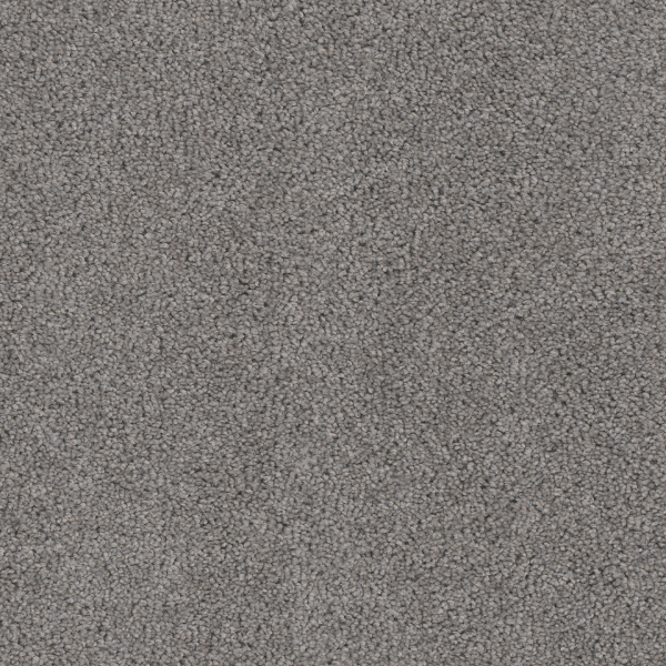 Dreamweaver Carpet Cedar Creek Bayside DREAMWEAVER