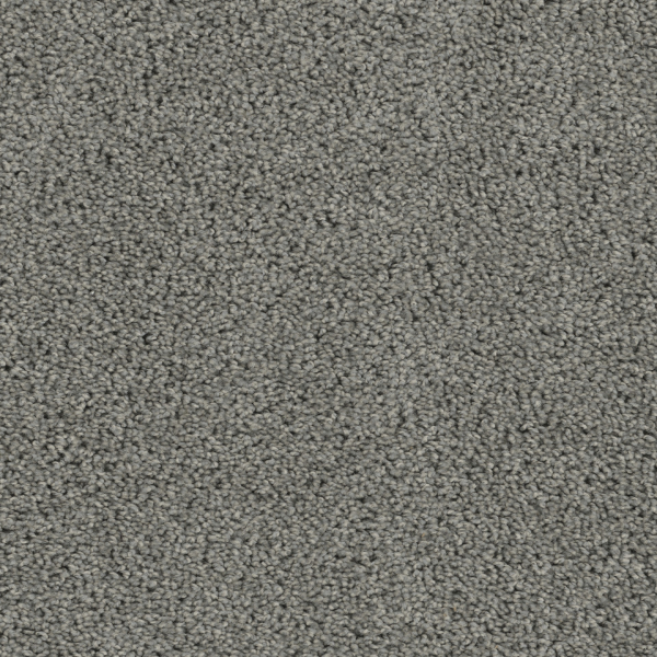 Dreamweaver Carpet Tracker Bayside DREAMWEAVER