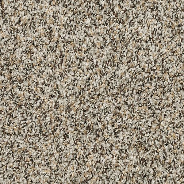 Mohawk Carpet Raise The Woof I Highway Mohawk