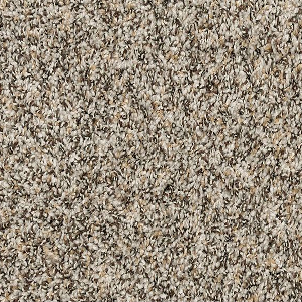 Mohawk Carpet Purrsonality III Highway Mohawk