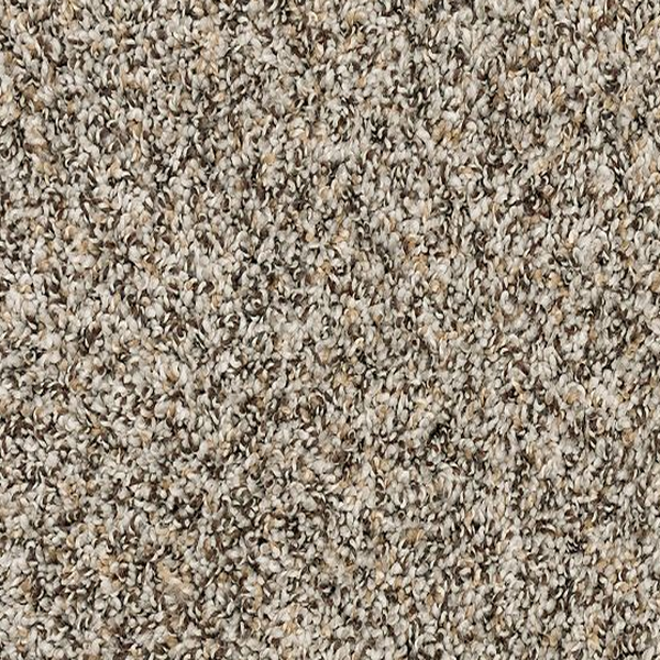 Mohawk Carpet Canine Chic Highway Mohawk