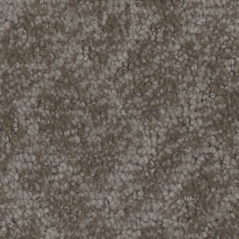 Tarkett Home Carpets Cheshire Antique LEXMARK