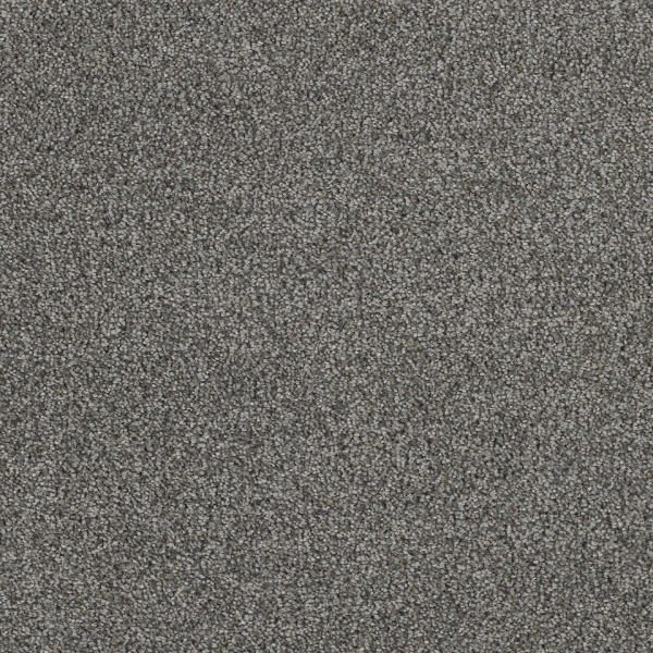 Dreamweaver Carpet Hollywood Pavilion DREAMWEAVER