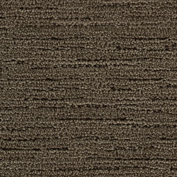 Mohawk Carpet Charming Approach Winter Bird Mohawk