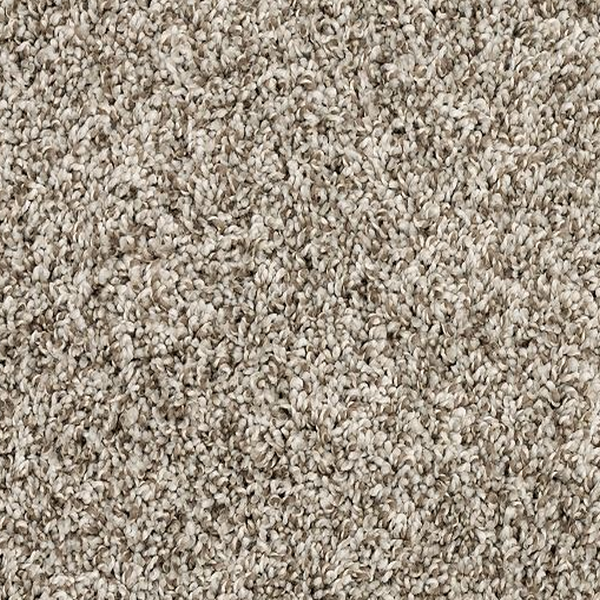 Mohawk Carpet Purrsonality I Pebble Trail Mohawk