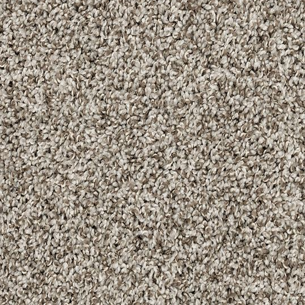 Mohawk Carpet Raise The Woof I Pebble Trail Mohawk