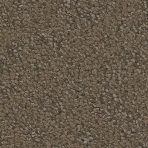 Tarkett Home Carpets Cheshire Whimsical LEXMARK