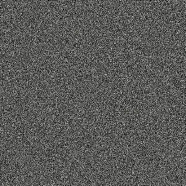 Dreamweaver Carpet Trendsetter II Zinc DREAMWEAVER