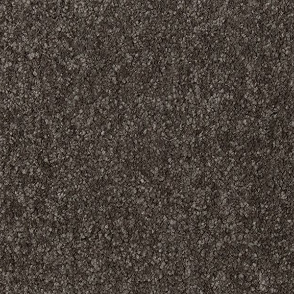 Mohawk Carpet Quality Feeling Nocturne Mohawk