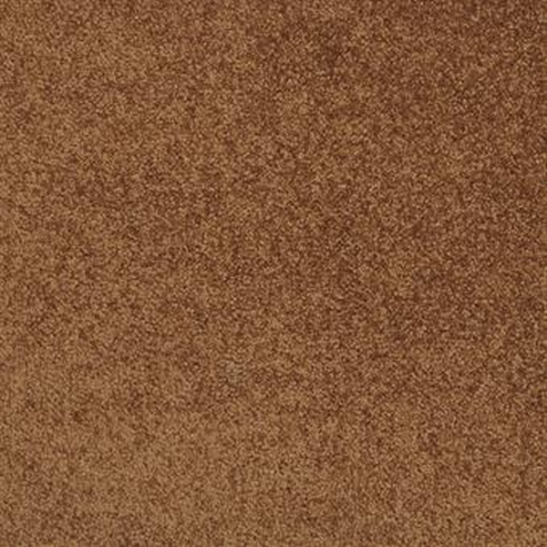 Masland Carpets Americana Coati Masland