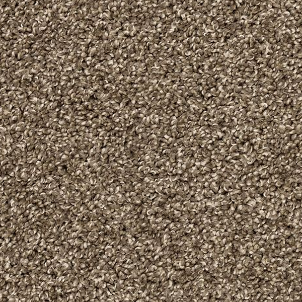 Mohawk Carpet Diffurent Choice III Legend Mohawk