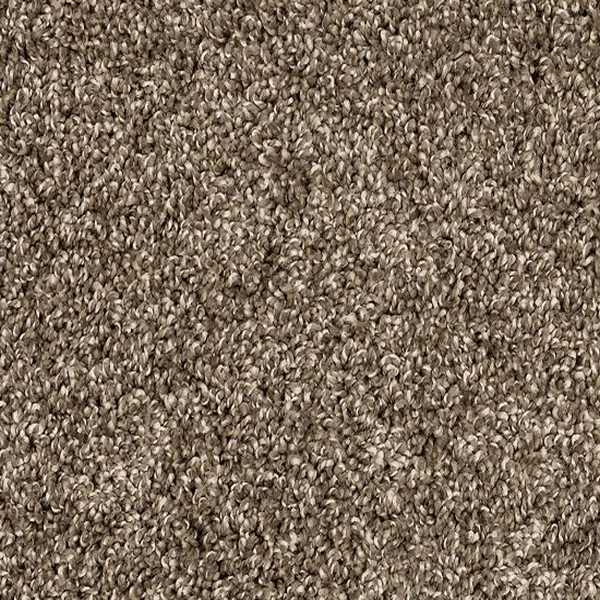 Mohawk Carpet Purrsonality II Legend Mohawk