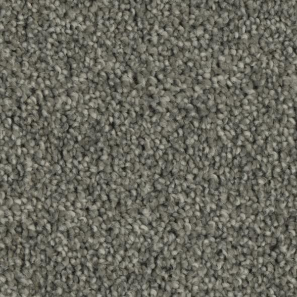 Phenix Carpets Entice MO Mesmerize PHENIX