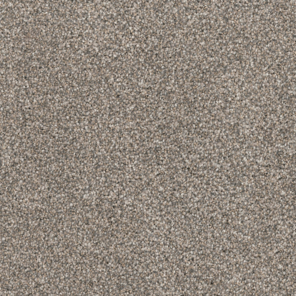 Dixie Home Husky Greyhound