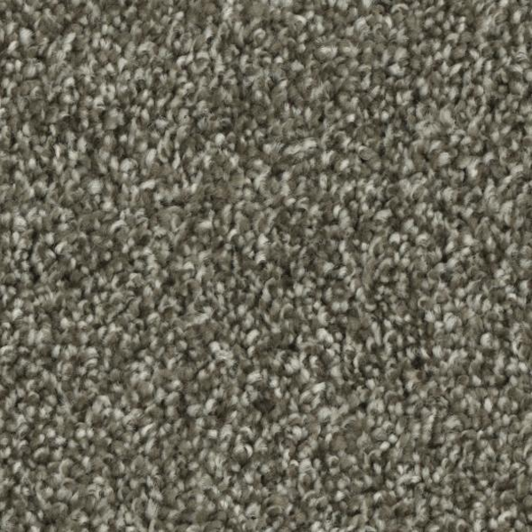 Phenix Carpets Entice MO Enchant PHENIX