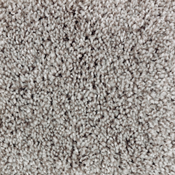 Mohawk Carpet Perfect Attraction Meandering Mohawk