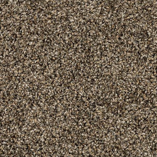 Mohawk Carpet Purrsonality III Nightshade Mohawk