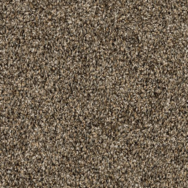 Mohawk Carpet Canine Chic Nightshade Mohawk