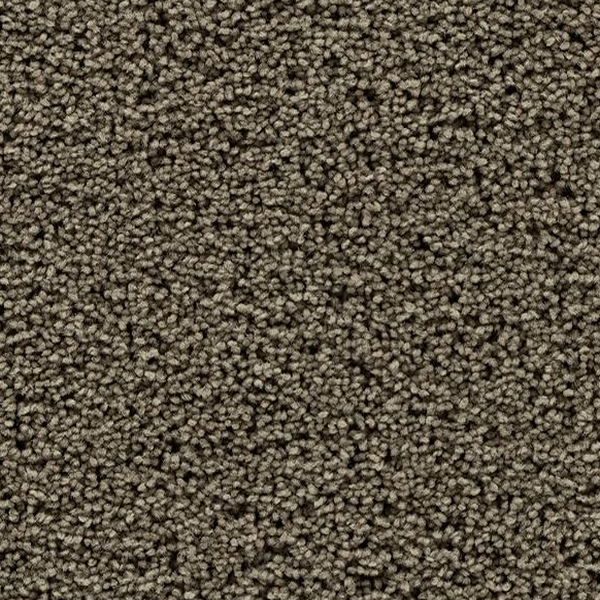 Mohawk Carpet Gentle Path Rocky Ridge Mohawk