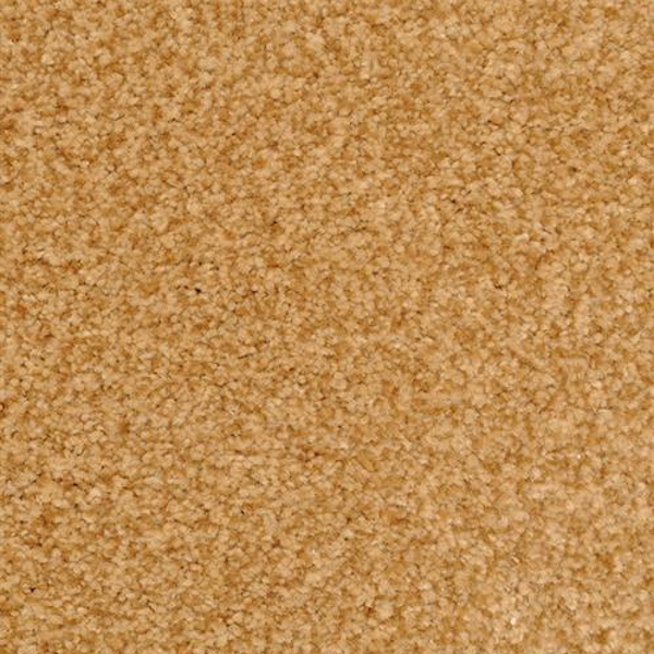 Dixie Home Chromatic Touch Copper