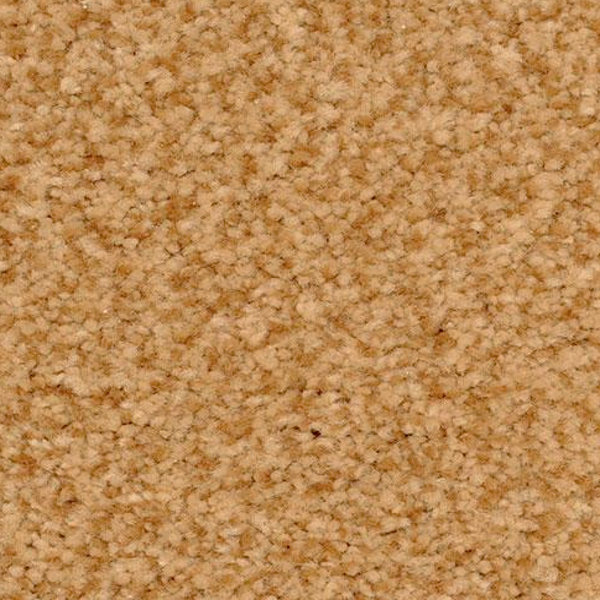 Dixie Home Innovations Copper