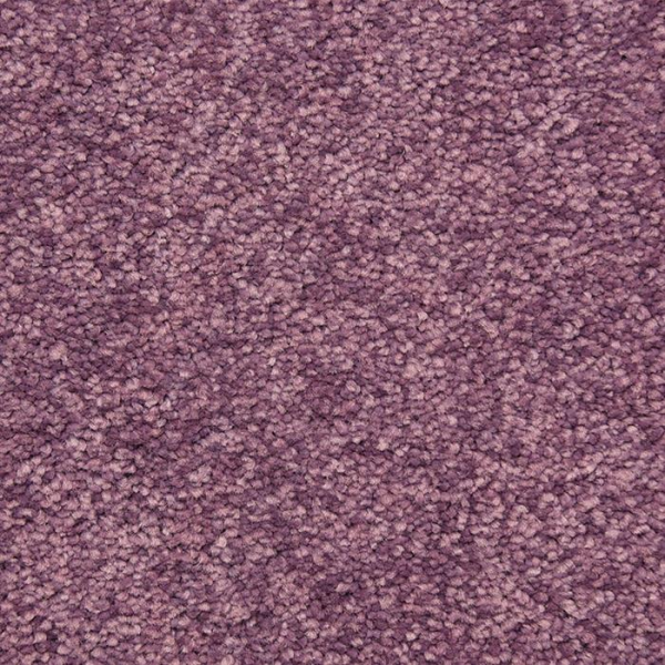 Masland Carpets Vero Beach Cupcake Masland