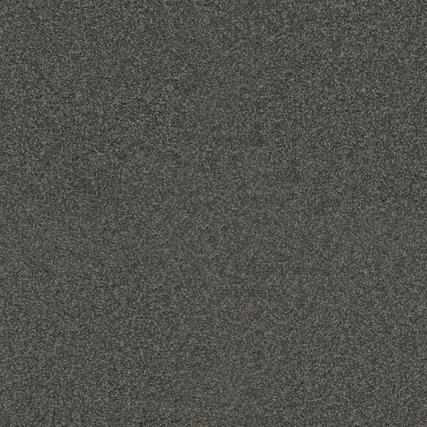 Dreamweaver Carpet Exceptional II Electron DREAMWEAVER