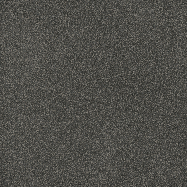 Dreamweaver Carpet Hammond Creek II Electron DREAMWEAVER