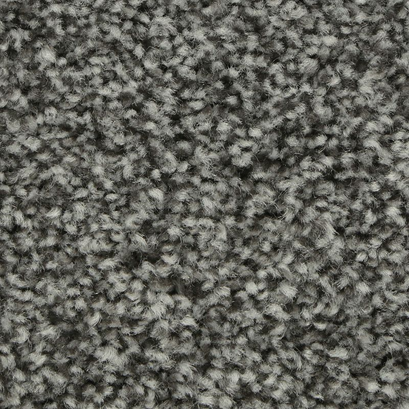 Mohawk Carpet Polished Shades I City Loft Mohawk
