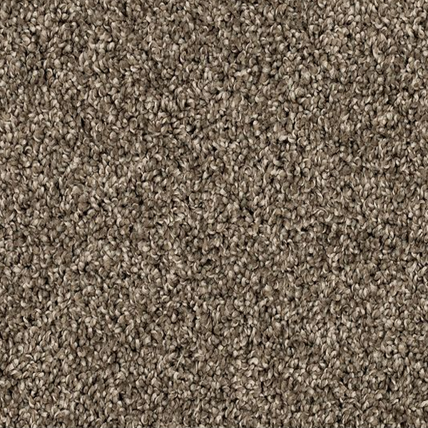 Mohawk Carpet Purrsonality II Matte Mohawk