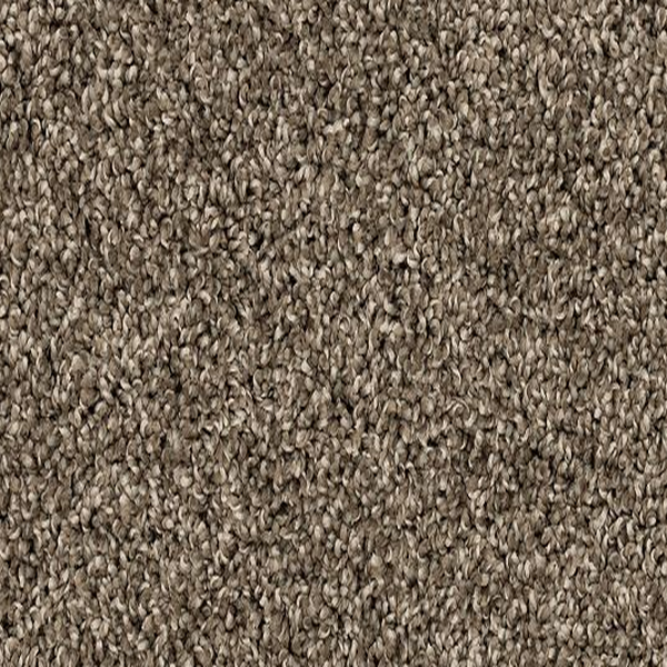 Mohawk Carpet Canine Chic Matte Mohawk