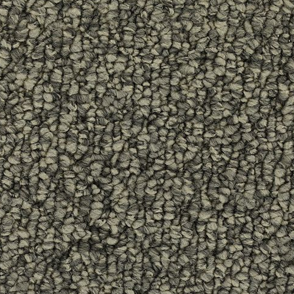 Horizon Carpet Cozy Classic 15' Classic Silver Mohawk