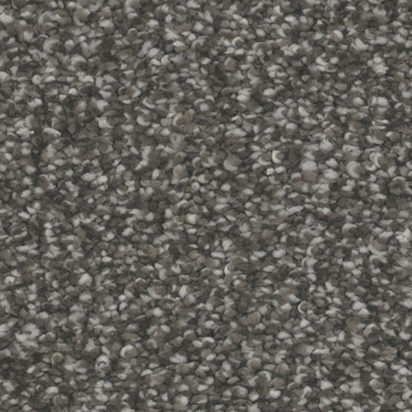 Tarkett Home Carpets Influence Bewitch LEXMARK