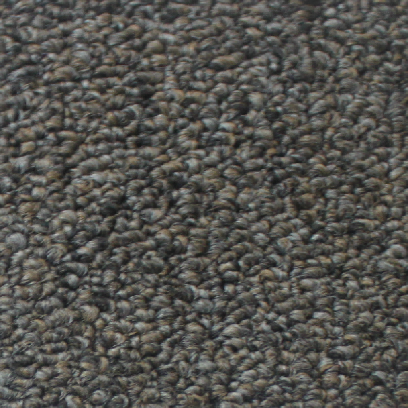 Aladdin Commercial Scholarship II 26 Twilight Shadow Mohawk